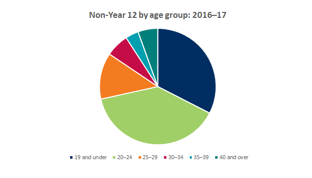 Graph showing breakdown of offers to non-year 12 applicants by age group 2016-2017