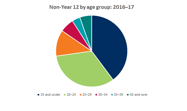 Pie chart showing breakdown of non-year 12 applicants by age group 2016-2017
