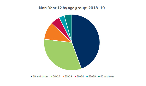 Pie chart showing breakdown of non-year 12 applicants by age group 2018-2019